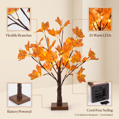 Autumn Glow™ Maple Tree