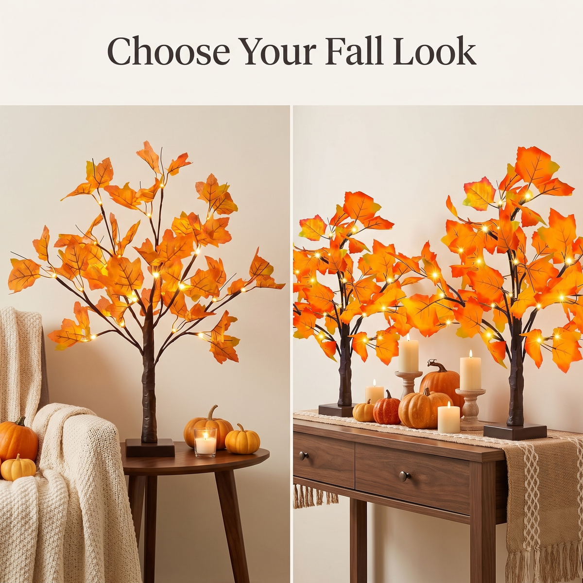 Autumn Glow™ Maple Tree